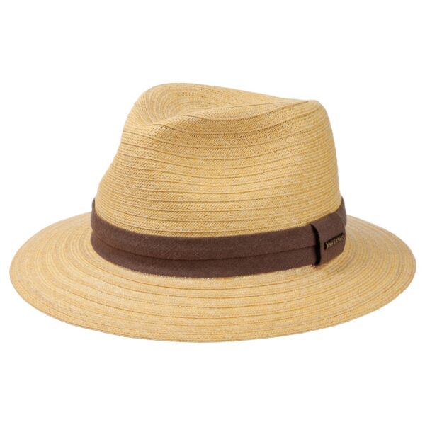 Traveller Stetson